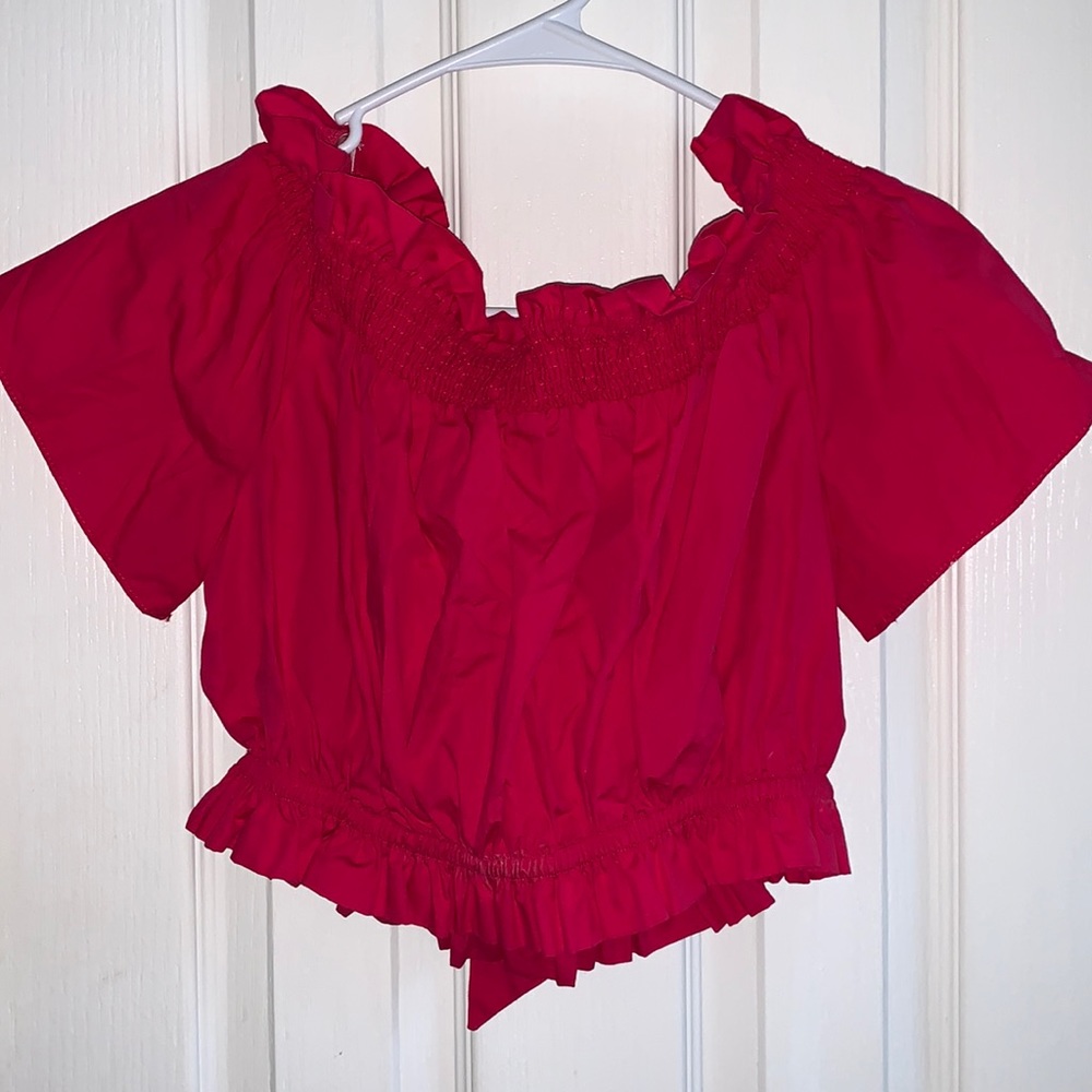 zara hot pink cropped ruffle top, size L